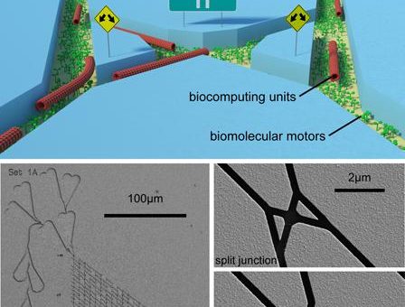 Molekulare motorbetriebene Bio-Computer