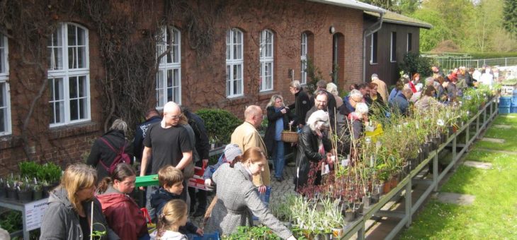 Pflanzenbasar & Ausstellung „Liebhaberkeramik für Gartenfreunde“