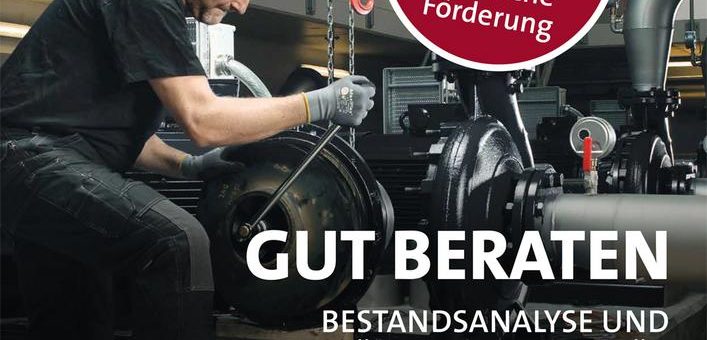 Bund fördert Industriepumpen mit 30 % – Grundfos bietet die passenden Produkte mit Bestandsanalyse und Förderberatung