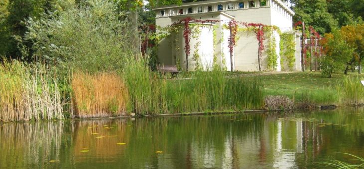 Paradiesgarten sucht Liebhaber – Spendenaktion für den Botanischen Garten gestartet