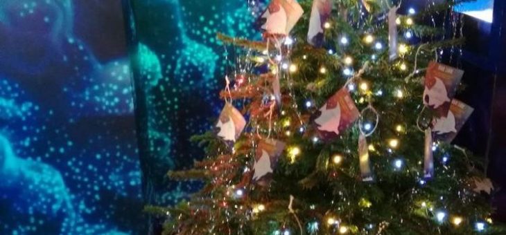 Merry Fishmas – Wünsche für die Meere 2018