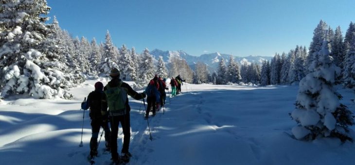 Querfeldein die Tiroler Natur erleben