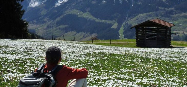 Die Kraft des Tiroler Bergfrühlings genießen