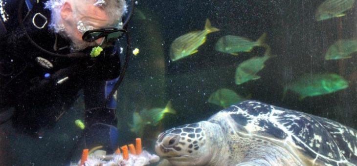 SEA LIFE Speyer feiert den 15. Geburtstag