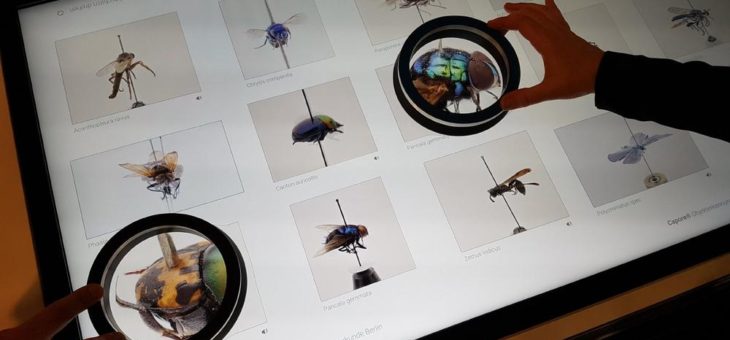 Neuartige Speziallupe für Multitouch-Displays