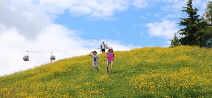 Drachenstarke Abenteuer: Familienurlaub in der Wildschönau