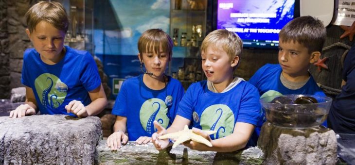 SEA LIFE München: Eine Schulklasse wird Teil der SEA LIFE München Crew