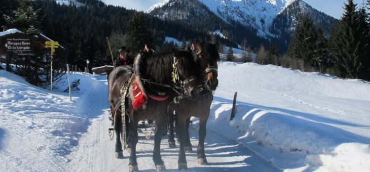 Romantik mit 2 PS: Im Pferdeschlitten durch die Wildschönau