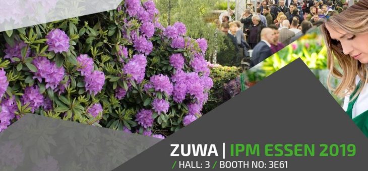 ZUWA | IPM Essen 2019