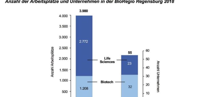 Geschäftsbericht 20 Jahre BioPark Regensburg