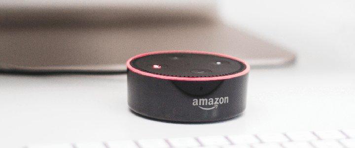 Alexa feiert Party und löst Polizeieinsatz aus