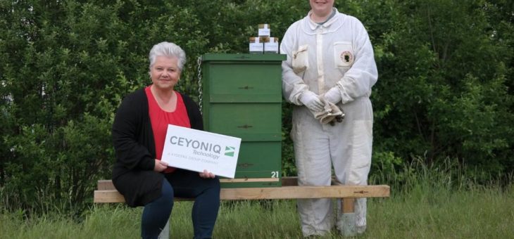 Neues Personal im Anflug: Ceyoniq engagiert 50.000 bienenfleißige Mitarbeiter