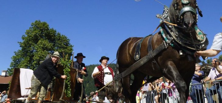 „Tage wie diese“ heißt das Motto beim 64. Wildschönauer Talfest in Tirol