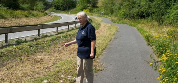 Lebensraum eines streng geschützten und seltenen Schmetterlings durch Straßenmeisterei erheblich beeinträchtigt