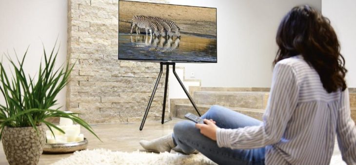 TV-Bodenständer im Staffelei-Design