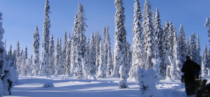 Weihnachten im Schnee