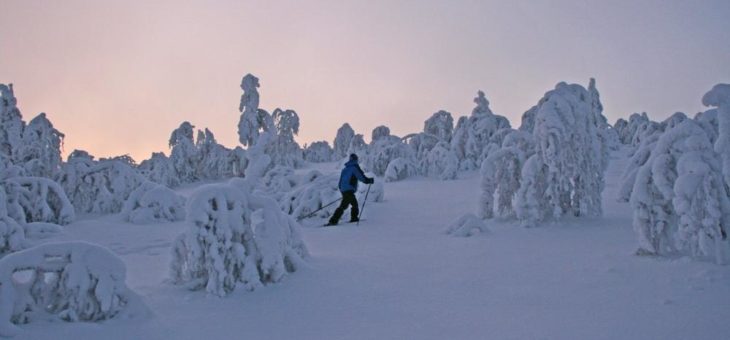 Direktflüge nach Lappland