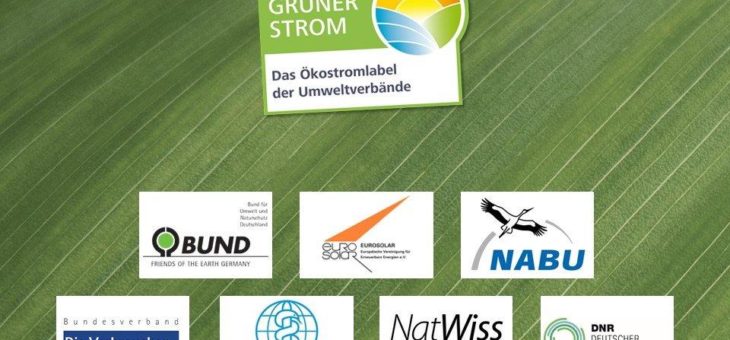 Wachsender Ökostrommarkt, Verbrauchertäuschung und stagnierende Energiewende