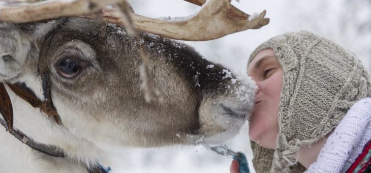 7 gute Gründe für eine Reise nach Finnland im Winter