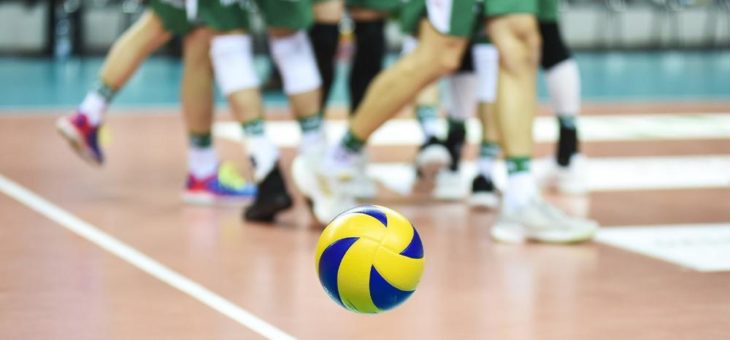 Phoenix eScore: App ersetzt den Spielberichtsbogen im Volleyball