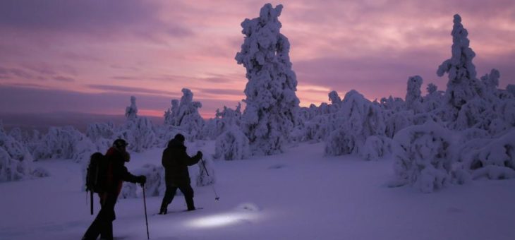 Das sind die besten Möglichkeiten, um die Nordlichter in Finnland zu sehen