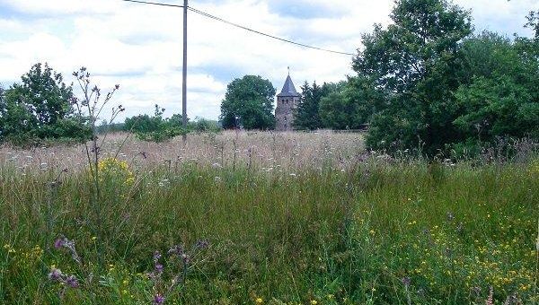 Naturschutzinitiative e.V. (NI) und Naturschutzbund (NABU) lehnen Ausbau der B 8 ab!