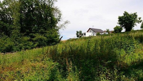 Juristischer Erfolg für die Naturschutzinitiative e.V. (NI): Wald erhalten, keine Versiegelung durch weitere Parkplätze!