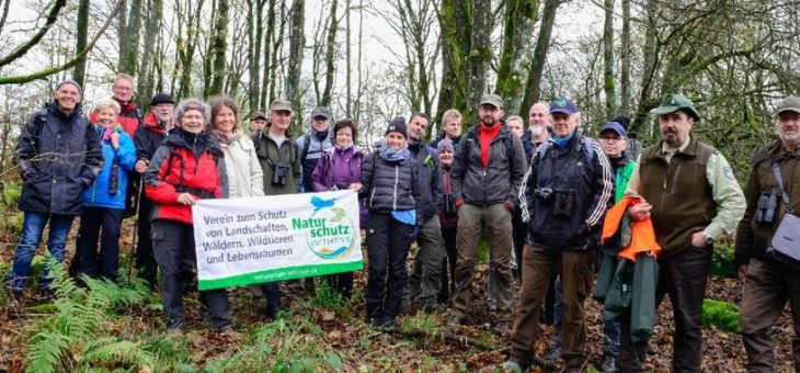 Naturschützer erleben mit dem Umweltverband Naturschutzinitiative e.V. (NI) die Waldwildnis im Nationalen Naturerbe Stegskopf