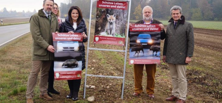 Neue Warnschilder sollen Wildunfälle vermeiden