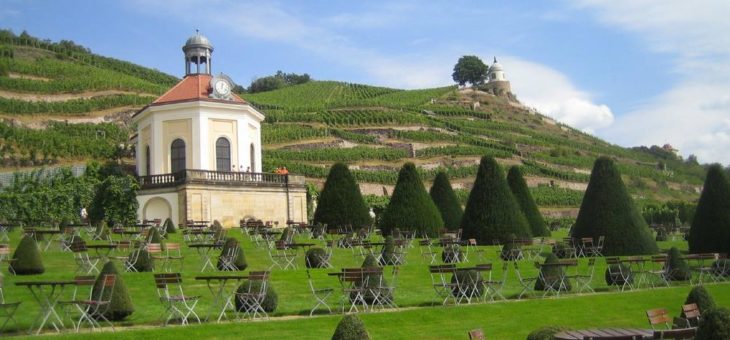 Weinreise Elbtal: Große Entdeckertour durch Deutschlands kleinste Weinregion