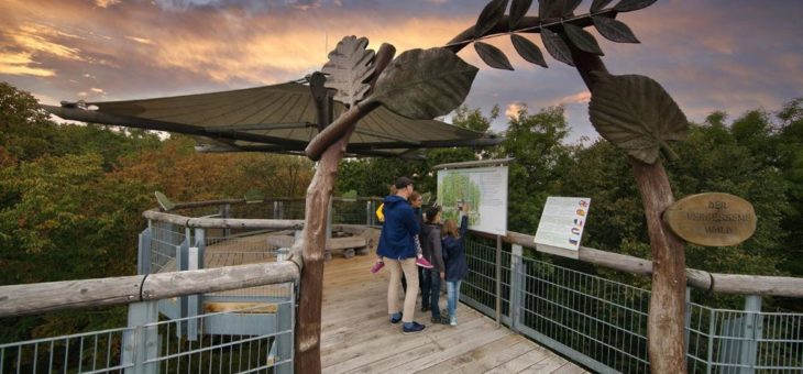 Baumkronenpfad im Nationalpark Hainich will 2020 den 3 Millionsten Besucher begrüßen