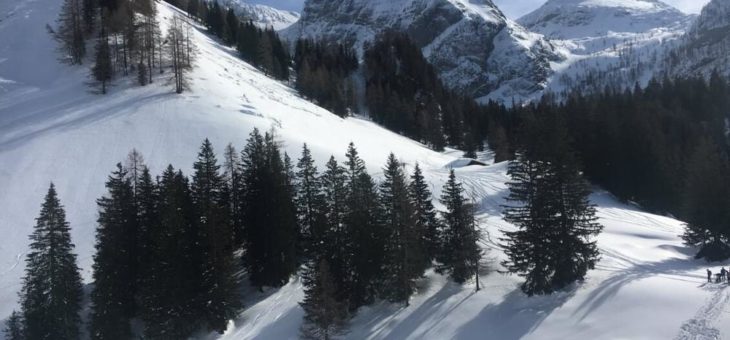 Alpenkokstage im Nationalpark