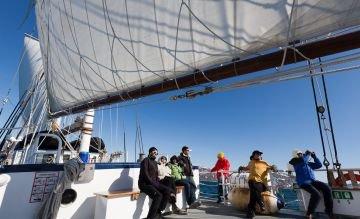 Wenn die Arktis aus dem Winterschlaf erwacht: Hike & Sail in Nordnorwegen