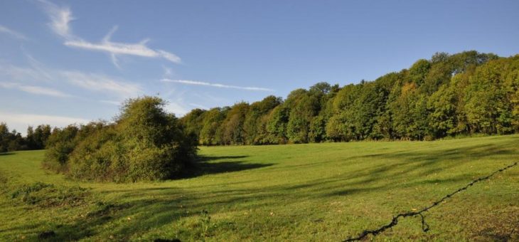 Umweltverband Naturschutzinitiative e.V. (NI) lehnt B 54-Umgehung in Rennerod aus Naturschutzgründen ab!