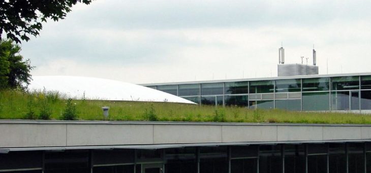 Berliner Dachdecker: Gründächer sind Biotope auf dem Dach