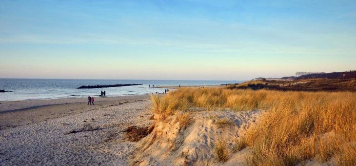 Gemeinsam aktiv im Kampf gegen Geisternetze in der Deutschen Ostsee