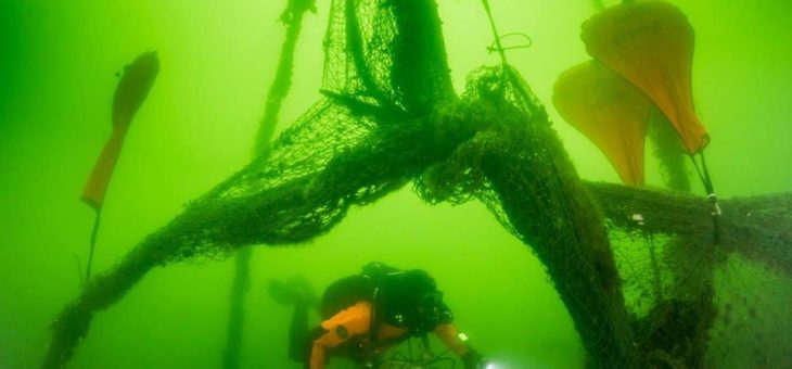 Erfolgreiche Bergung von Geisternetzen vor Rügen