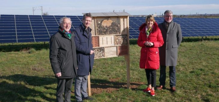 N-ERGIE stattet Photovoltaik-Kraftwerke mit Insektenhotels aus