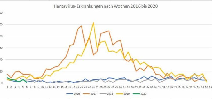 Hantavirus: Droht 2020 eine erhöhte Infektionsgefahr?