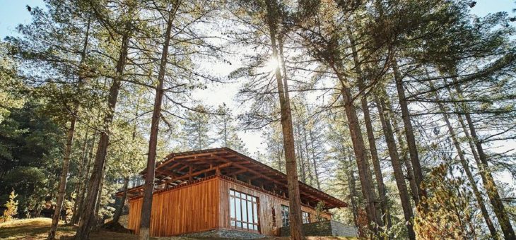 „Forest Within A Forest“ – das Six Senses Bumthang