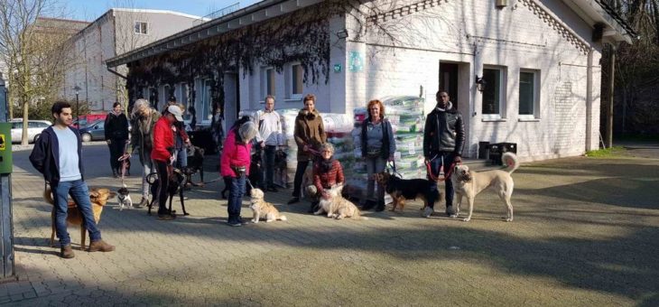 Herzenssache Tierschutz: Fachhandelsgruppe zookauf und GoodyFriends unterstützen tierisch gute Projekte