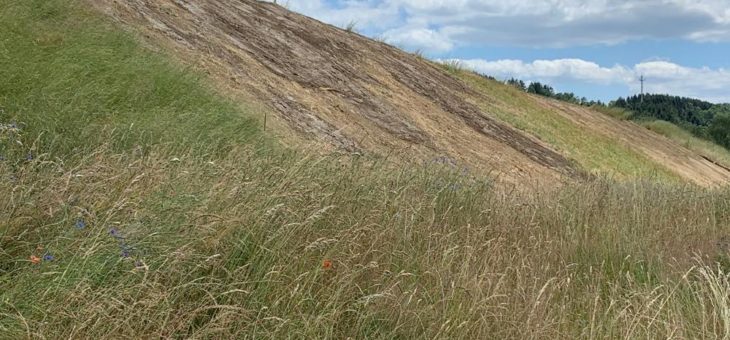 Umweltverband Naturschutzinitiative e.V. (NI) klagt gegen die Baugenehmigung für das Erdaushubzwischenlager in Krombach