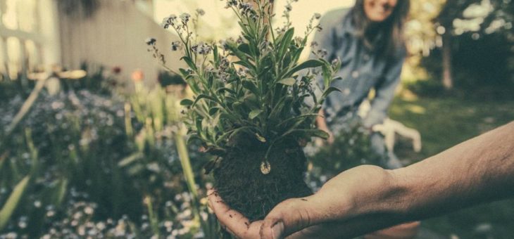 Fit durch die Gartensaison