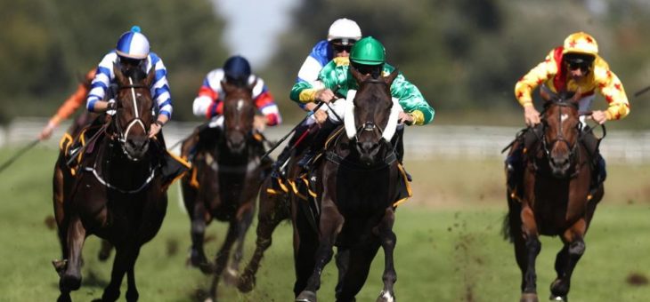 BADEN RACING: Zweitägiges Frühjahrsmeeting im Mai Teil der vorläufigen Renntagsplanung in Zeiten von Corona