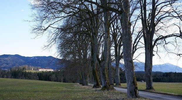 Ausschreibung zum Deutschen Preis für Nature Writing 2020