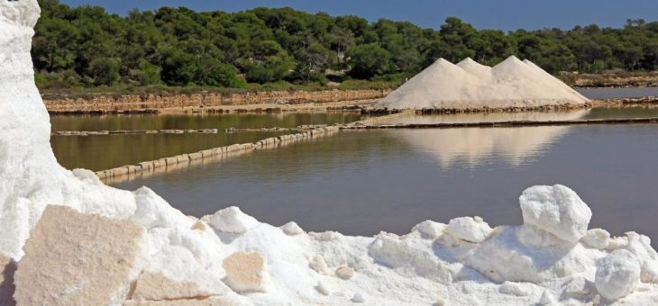 Balearische Genüsse trotz geschlossener Grenzen: Mallorca nach Hause liefern lassen