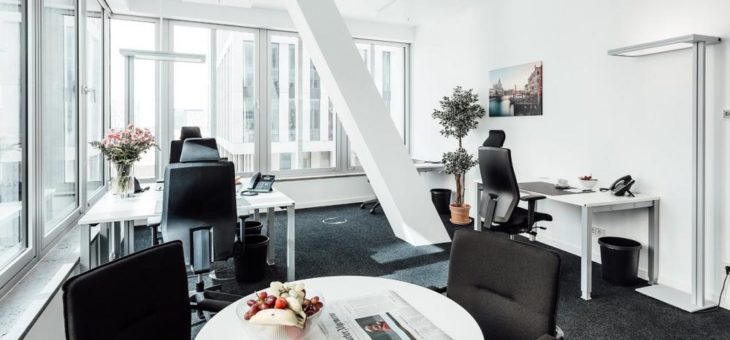 Das Beste aus zwei Welten: Professionelle Büroflächen mit der Flexibilität von Co-Working