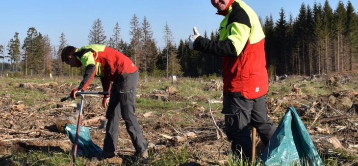 Tag des Baumes – geprägt durch die Corona-Krise