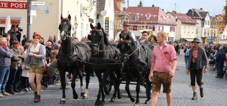 Schussenrieder Oktoberfest und Fuhrmannstag abgesagt!