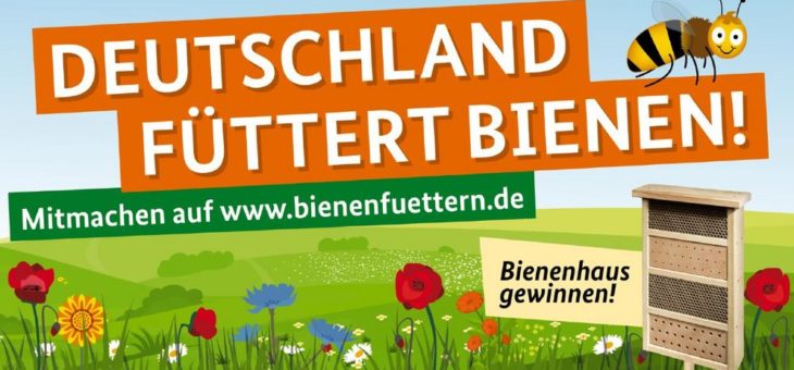 Branchenverbände unterstützen Initiative „Bienen füttern!“